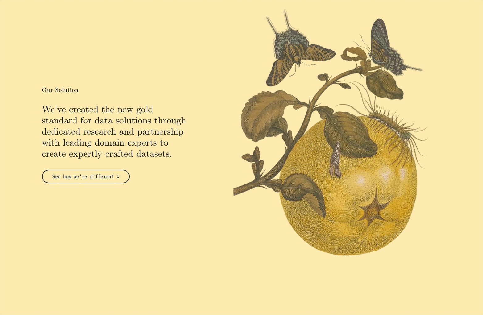 AfterQuery captured website design