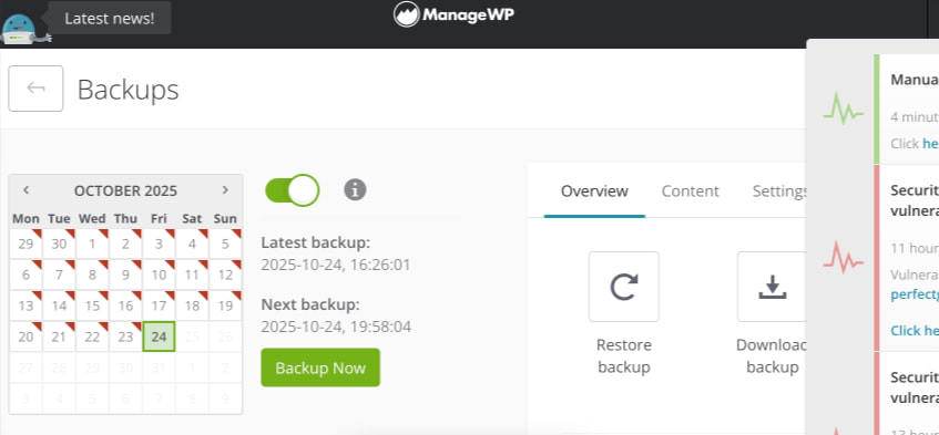 ManageWP captured website design
