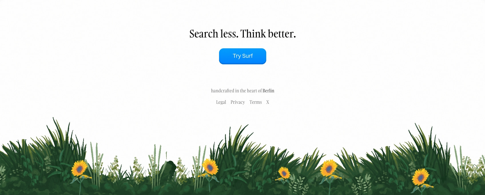 Deta Surf captured website design
