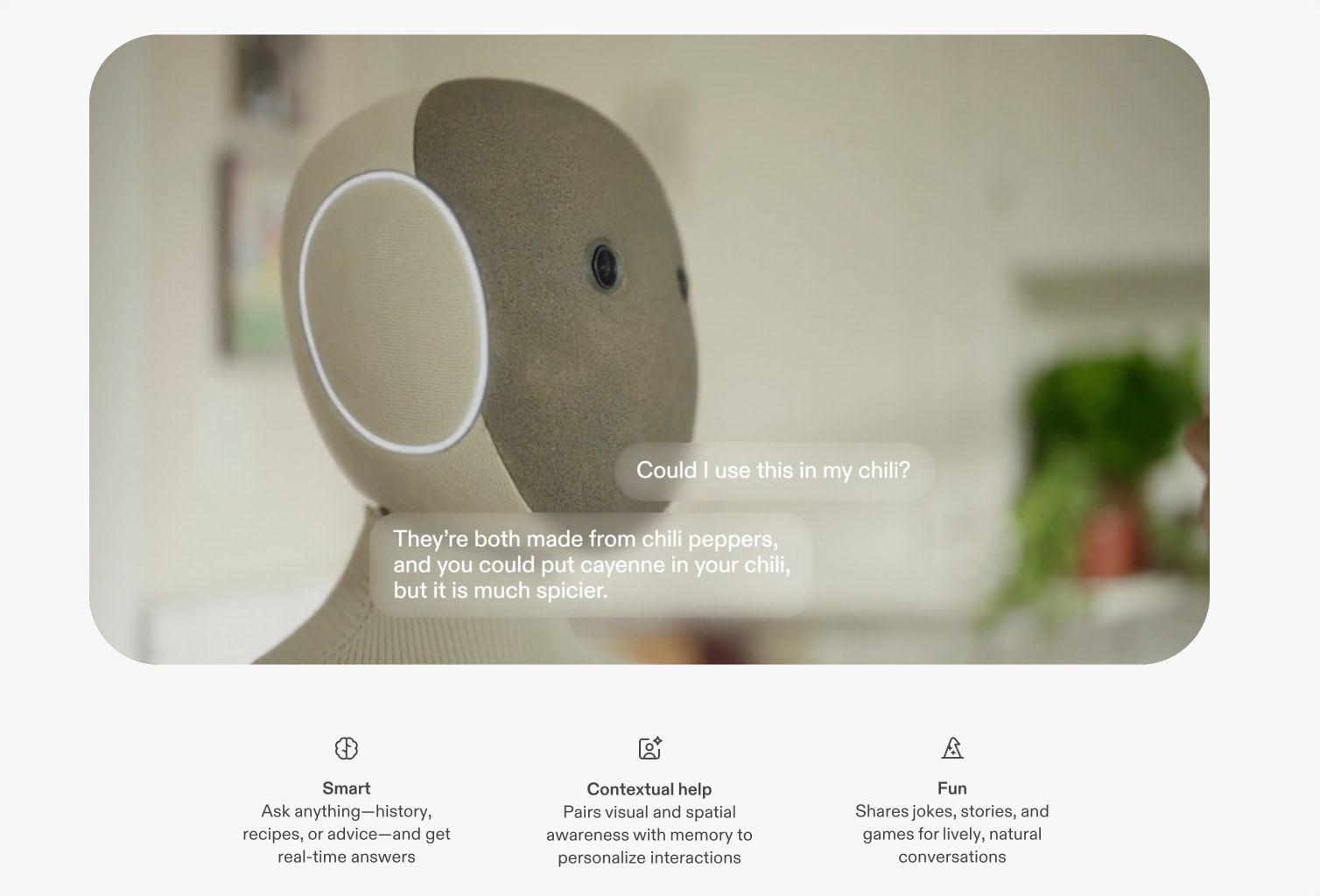 NEO Home Robot captured website design