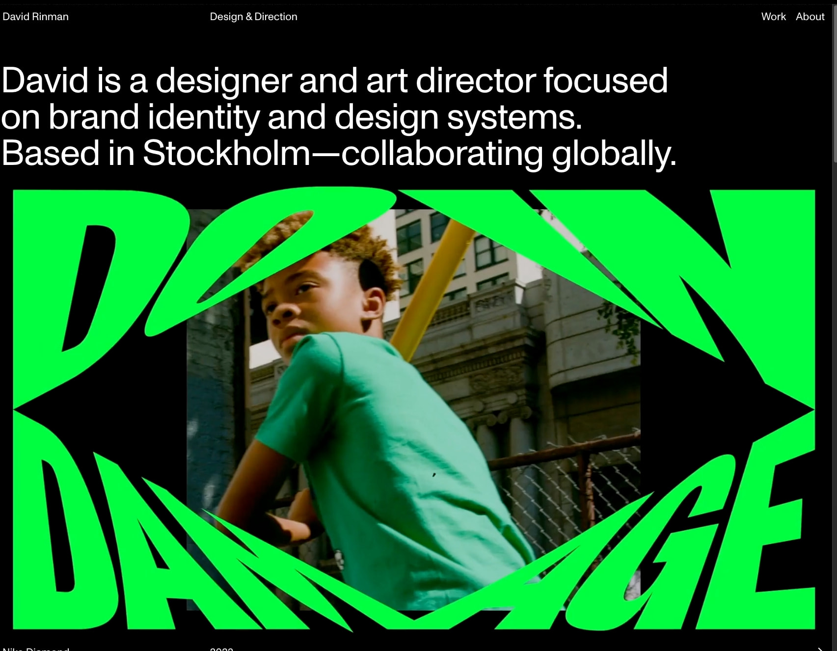 David Rinman - Design & Direction captured website design