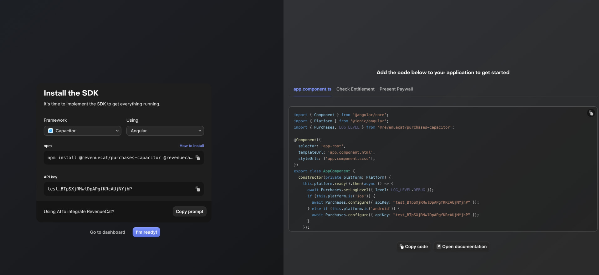 SDK installation page with split-panel layout showing framework selector, API key field, code snippet with syntax highlighting, and action buttons on dark background captured website design