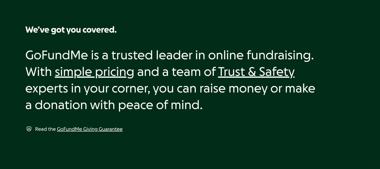 GoFundMe | The #1 Crowdfunding and Fundraising Platform captured website design