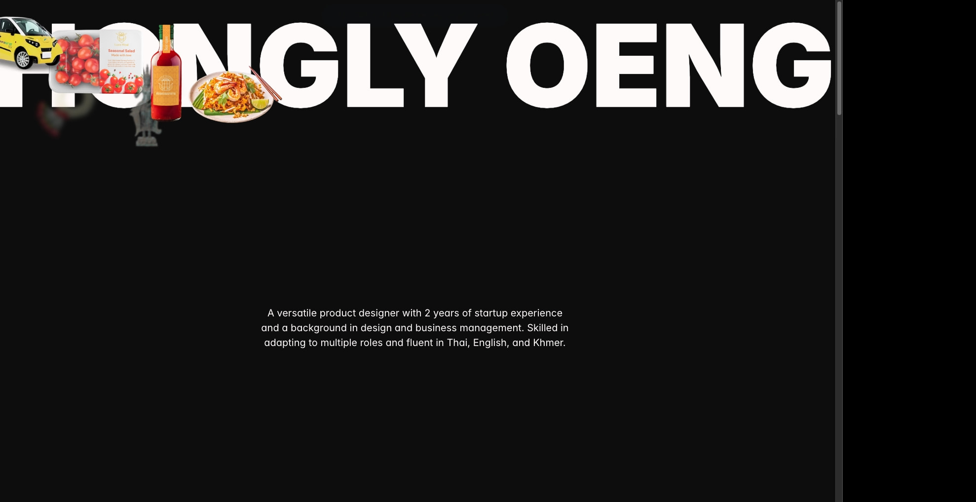Hongly's Portfolio captured website design