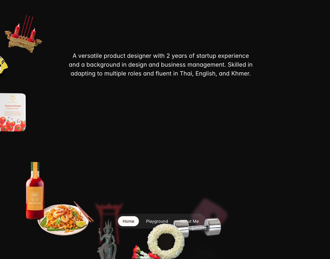 Hongly's Portfolio captured website design