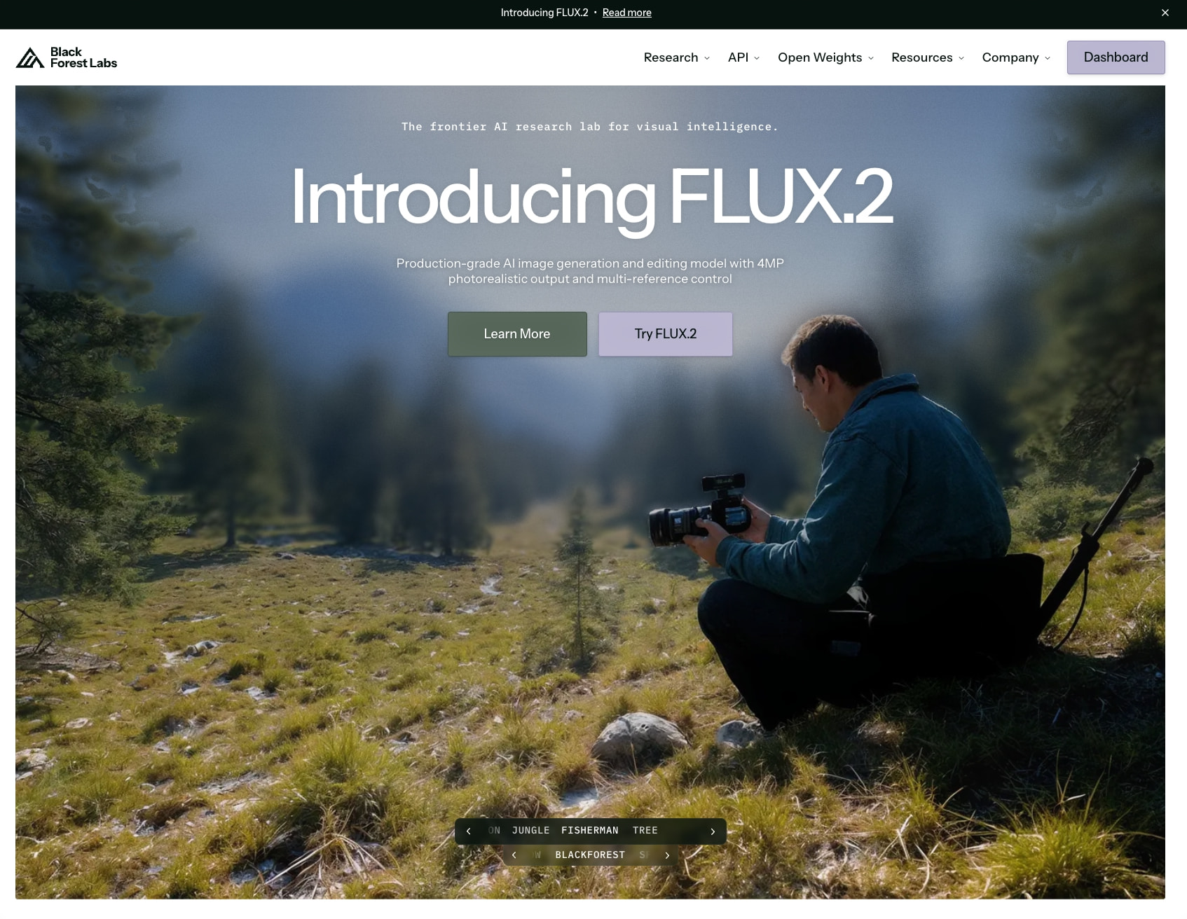 Black Forest Labs - Frontier AI Lab captured website design