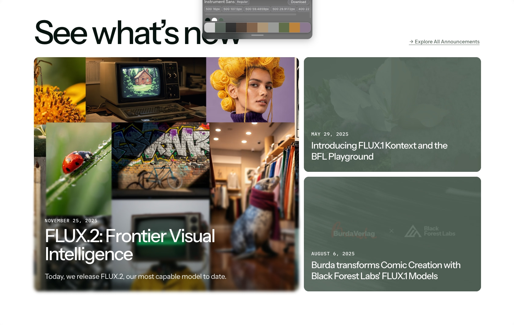 Black Forest Labs - Frontier AI Lab captured website design