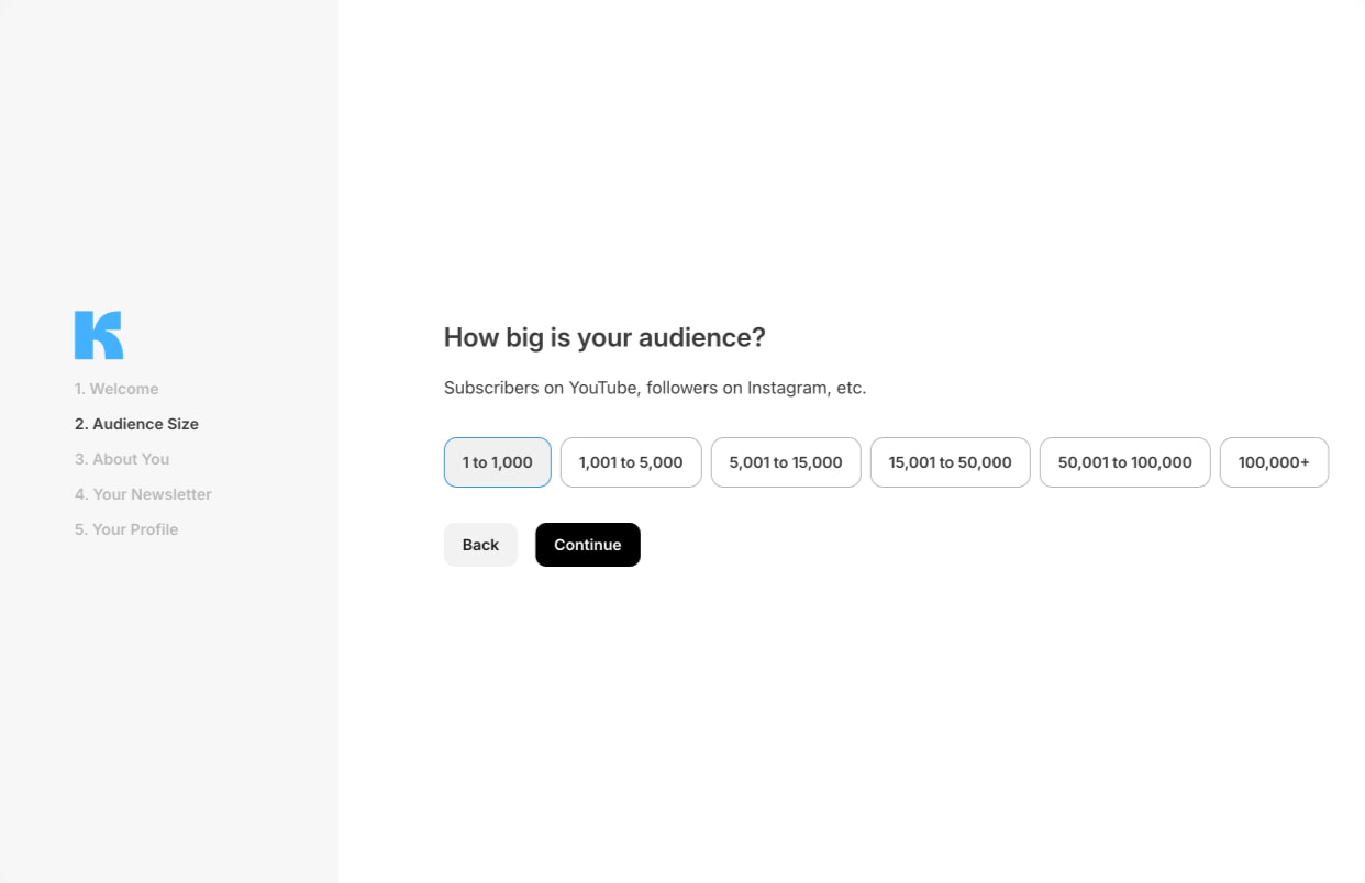 Audience Size captured website design
