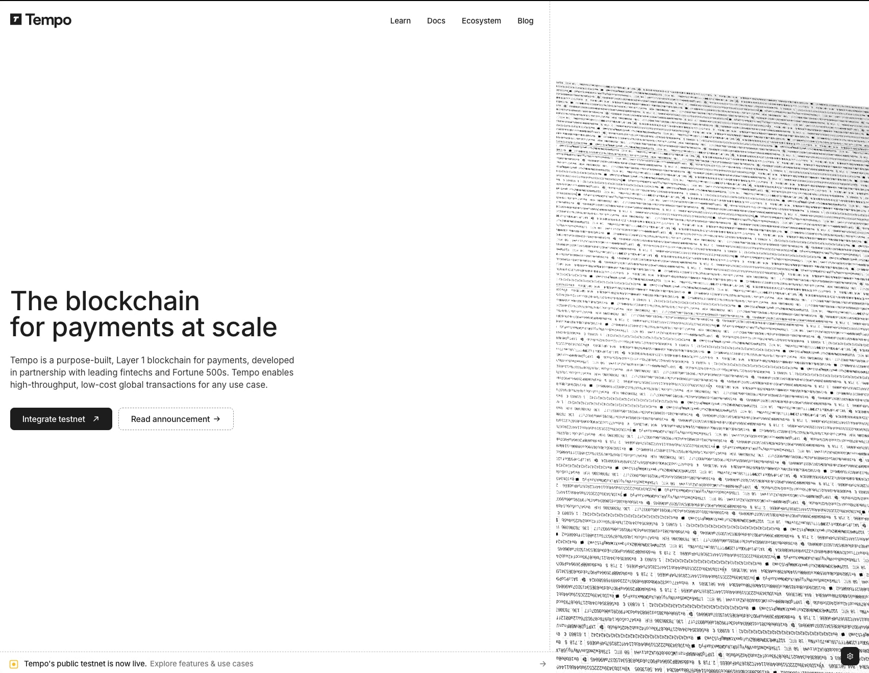 Homepage hero with light background, dark primary button, and dense diagonal transaction log texture on the right half captured website design