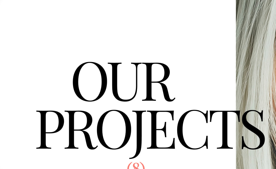 Firma captured website design