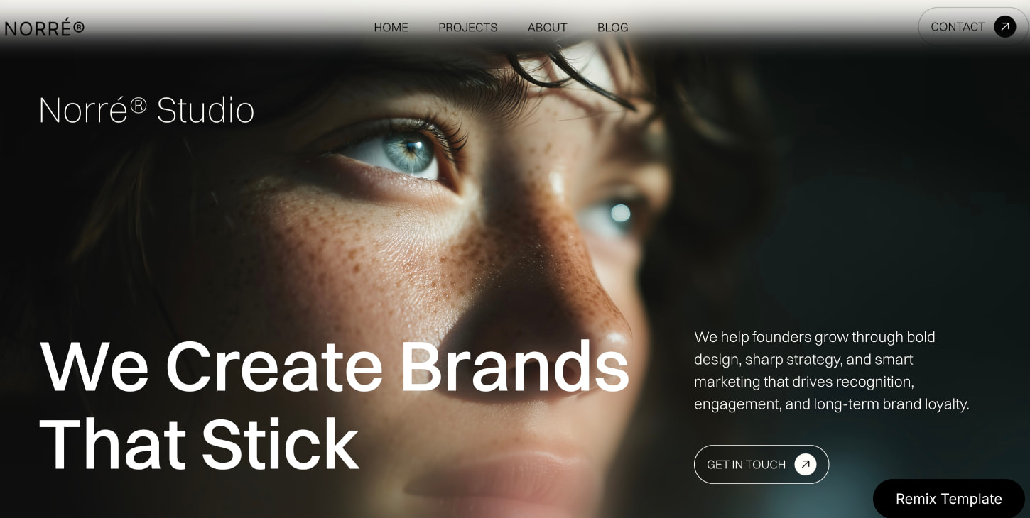 Norre Studio captured website design