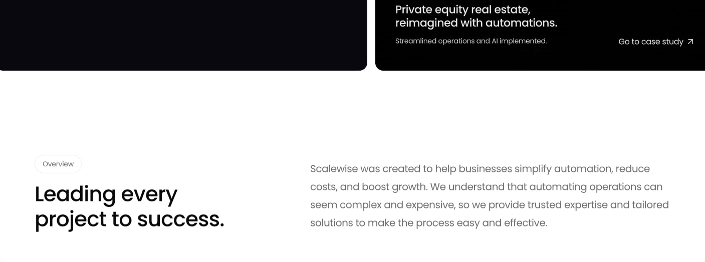 Scalewise - Your business automation experts captured website design