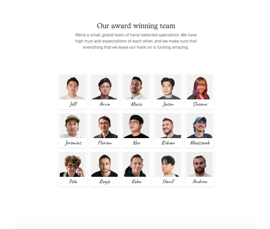 Venice Inc. captured website design