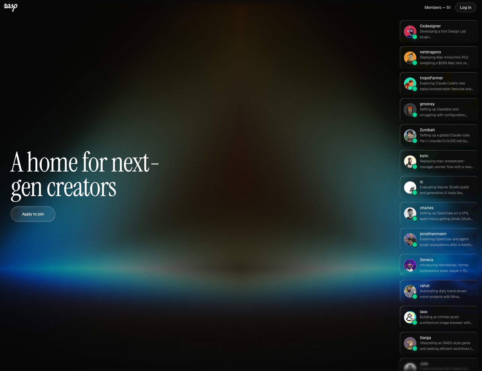 Rasp captured website design