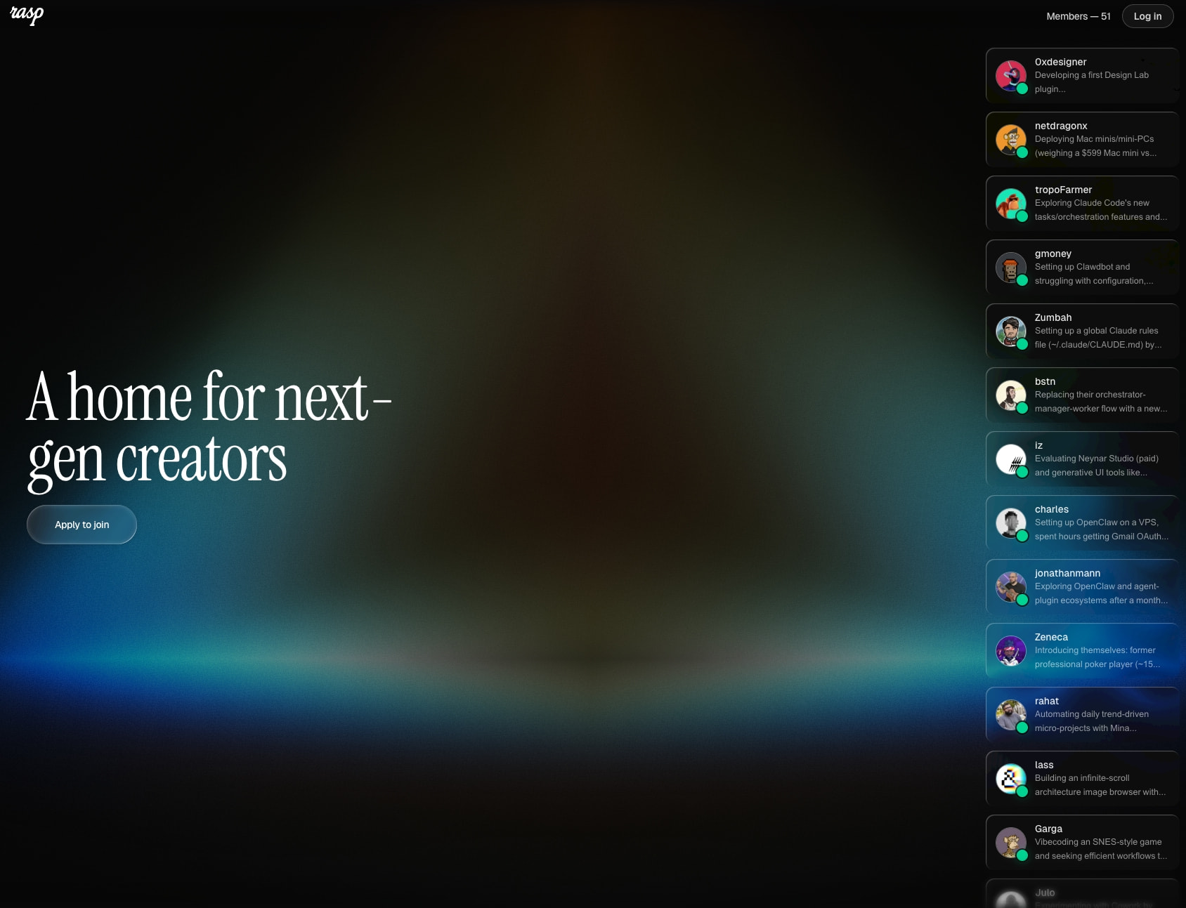 Rasp captured website design