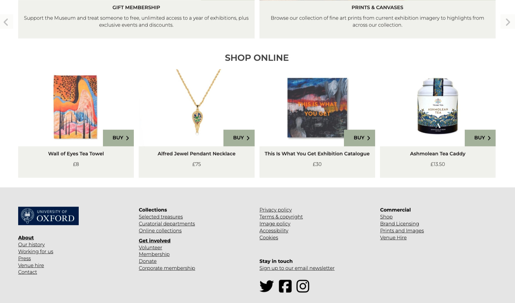 Welcome | Ashmolean Museum captured website design