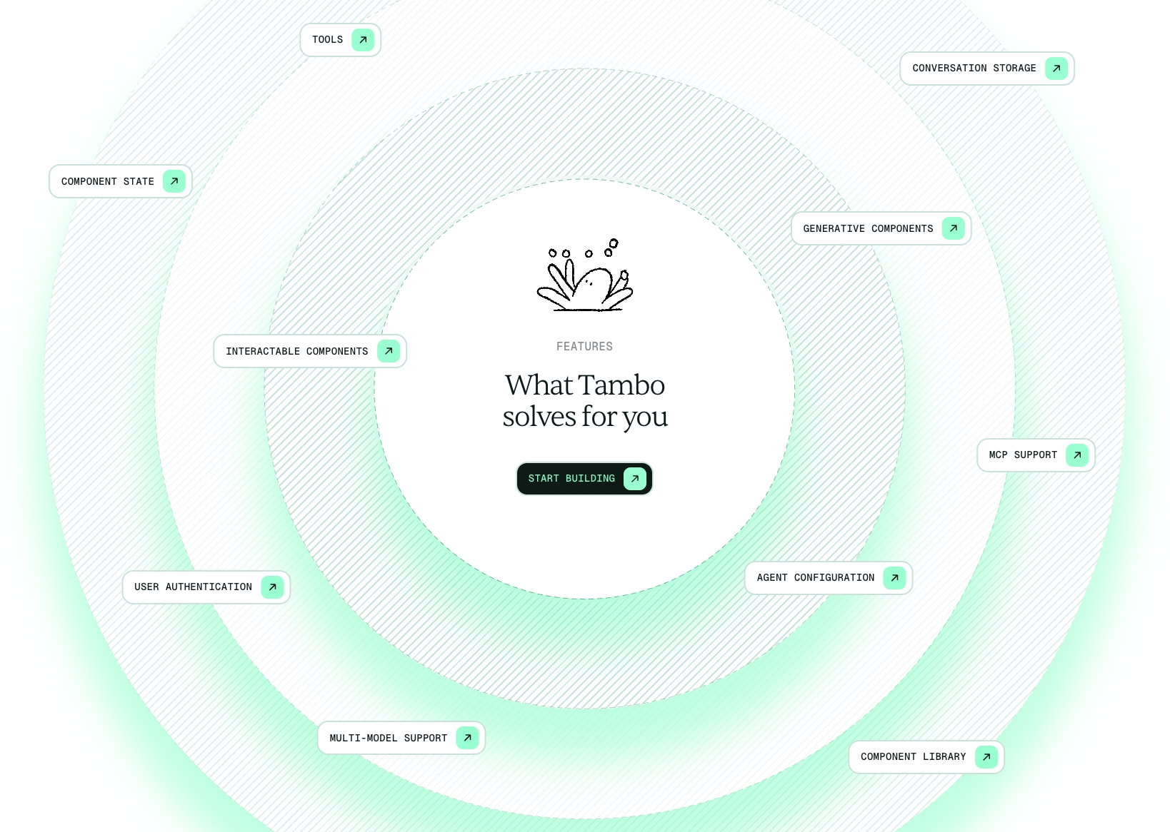 Tambo captured website design