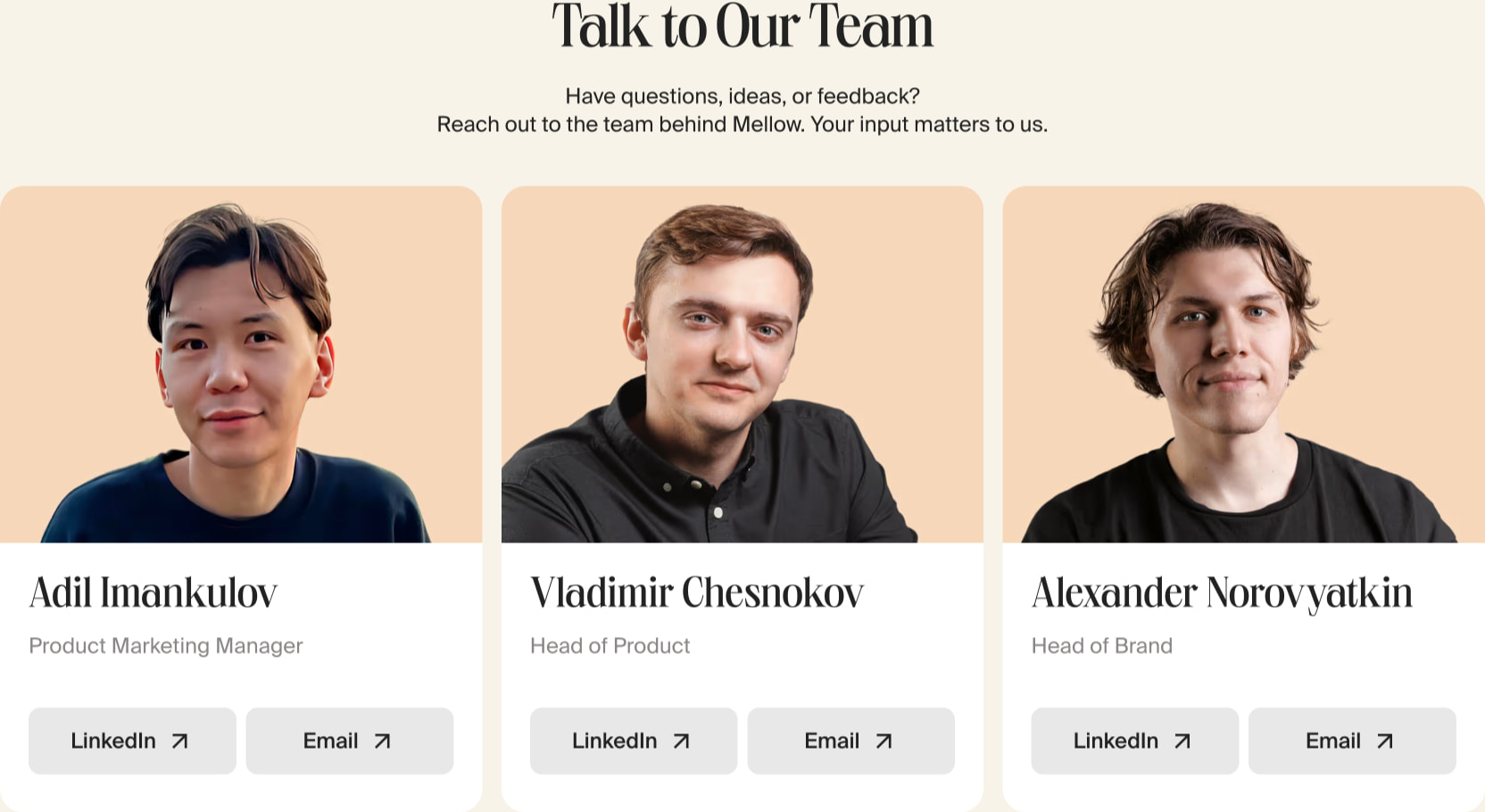 Payment system for freelancers and contractors | Mellow for freelancers captured website design