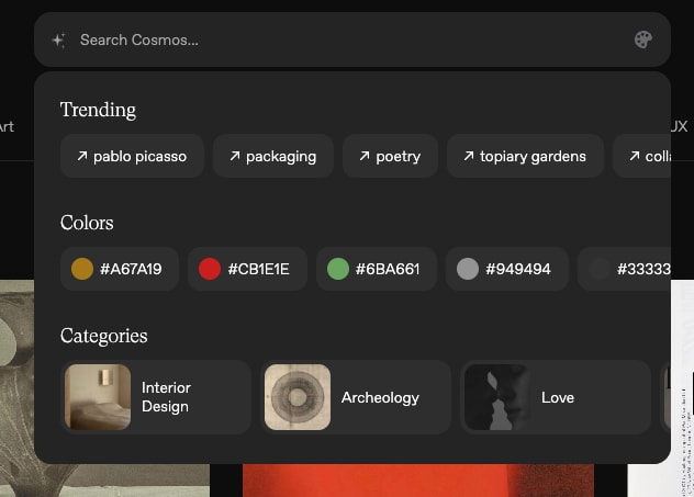 Discover / Cosmos captured website design