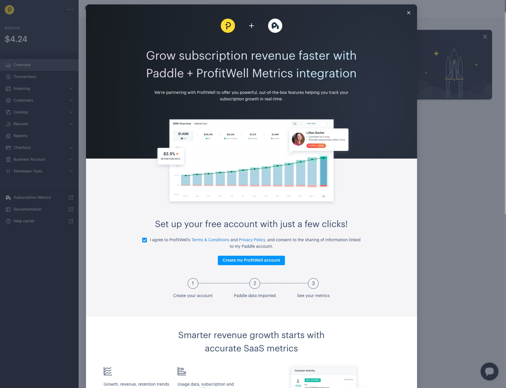 Paddle Dashboard captured website design