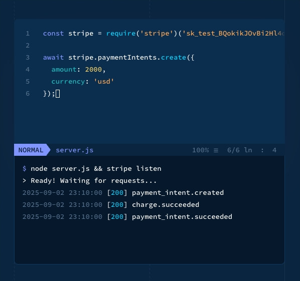 Stripe captured website design