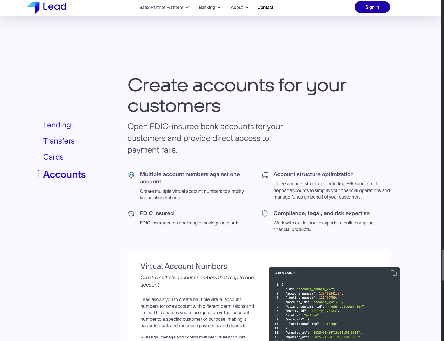 BaaS Partner Platform captured website design