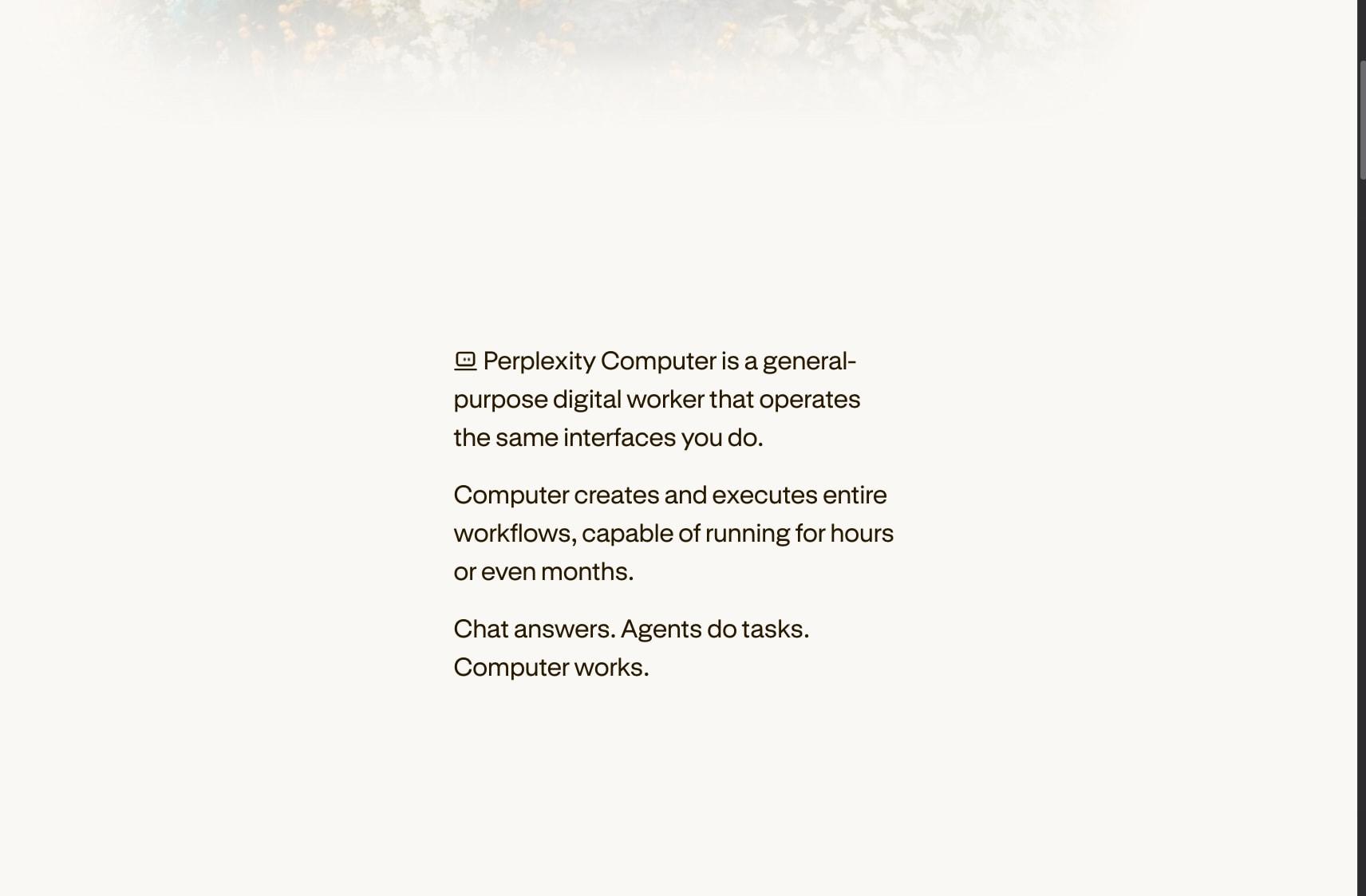 Perplexity Computer captured website design