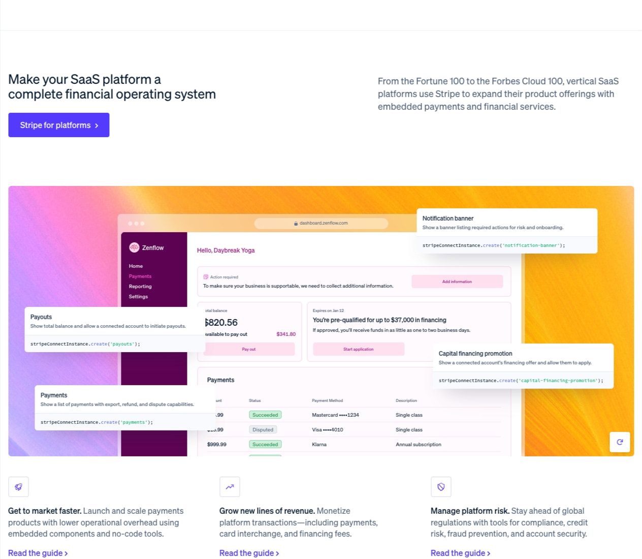 Stripe | Financial Infrastructure to Grow Your Revenue captured website design