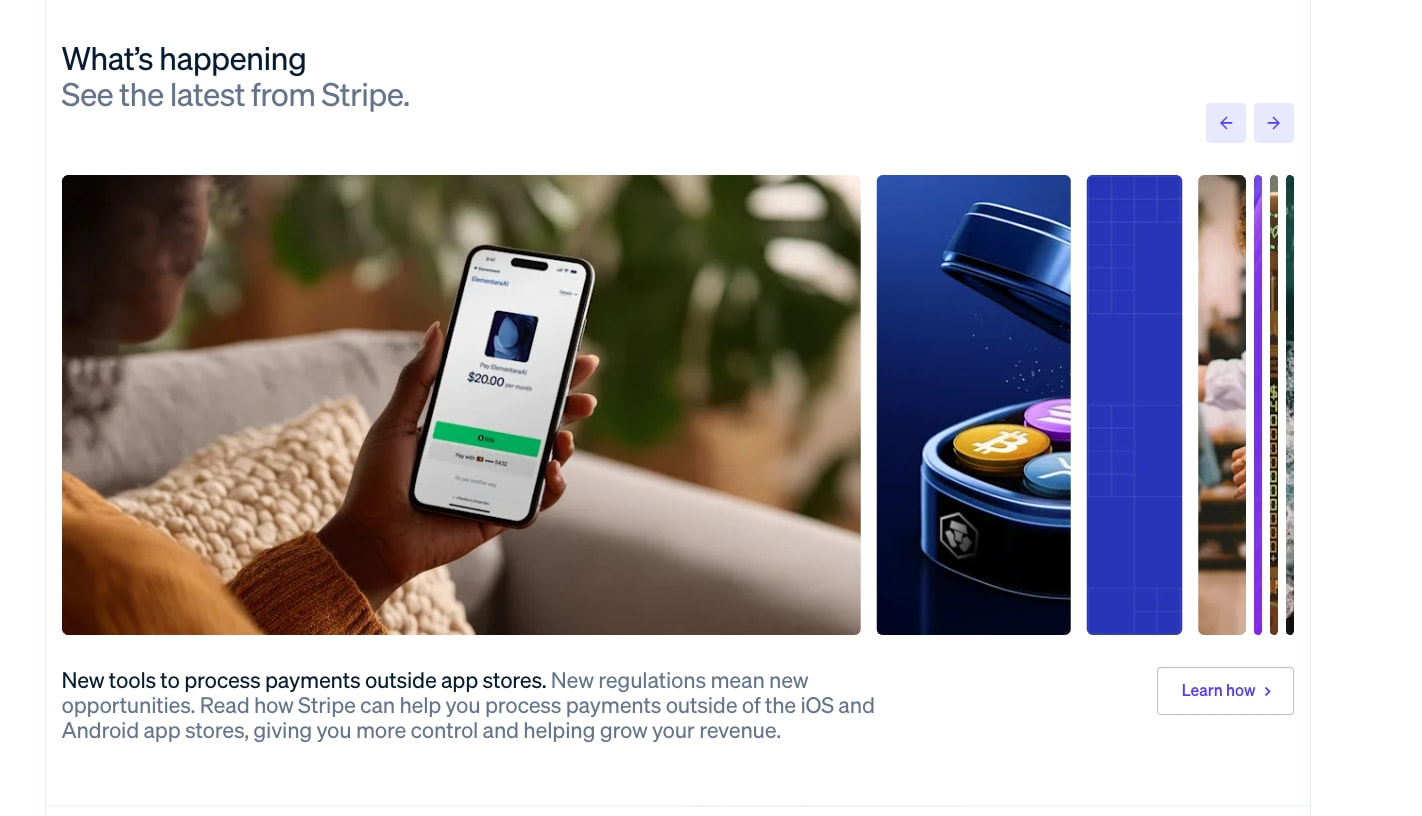 Stripe | Financial Infrastructure to Grow Your Revenue captured website design