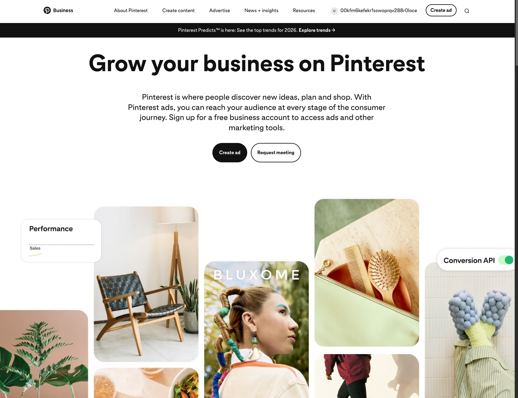 Marketing on Pinterest | Pinterest Business captured website design