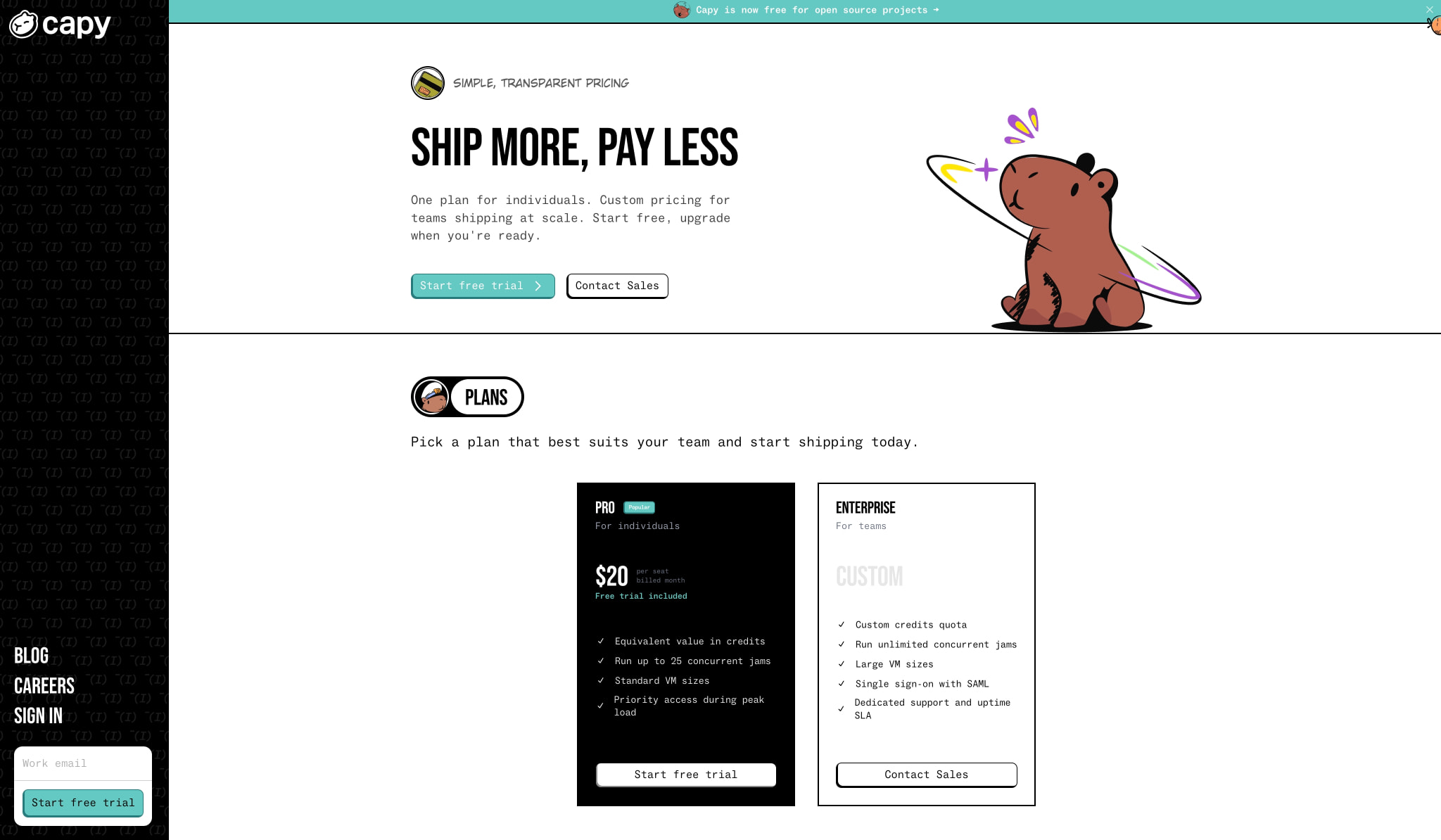 Capy Pricing | Plans for Individuals and Teams captured website design