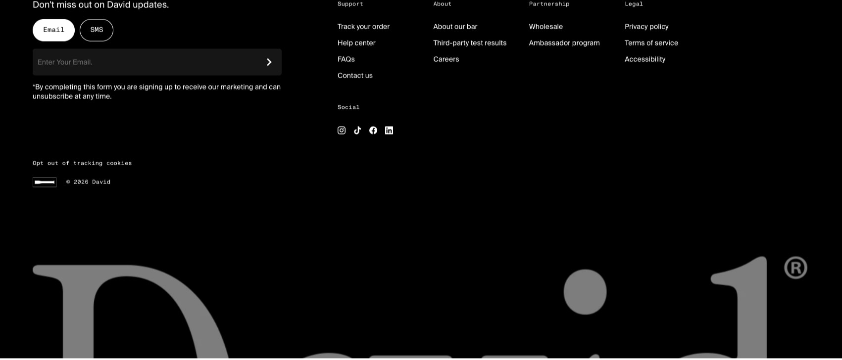 Meet David Bronze captured website design