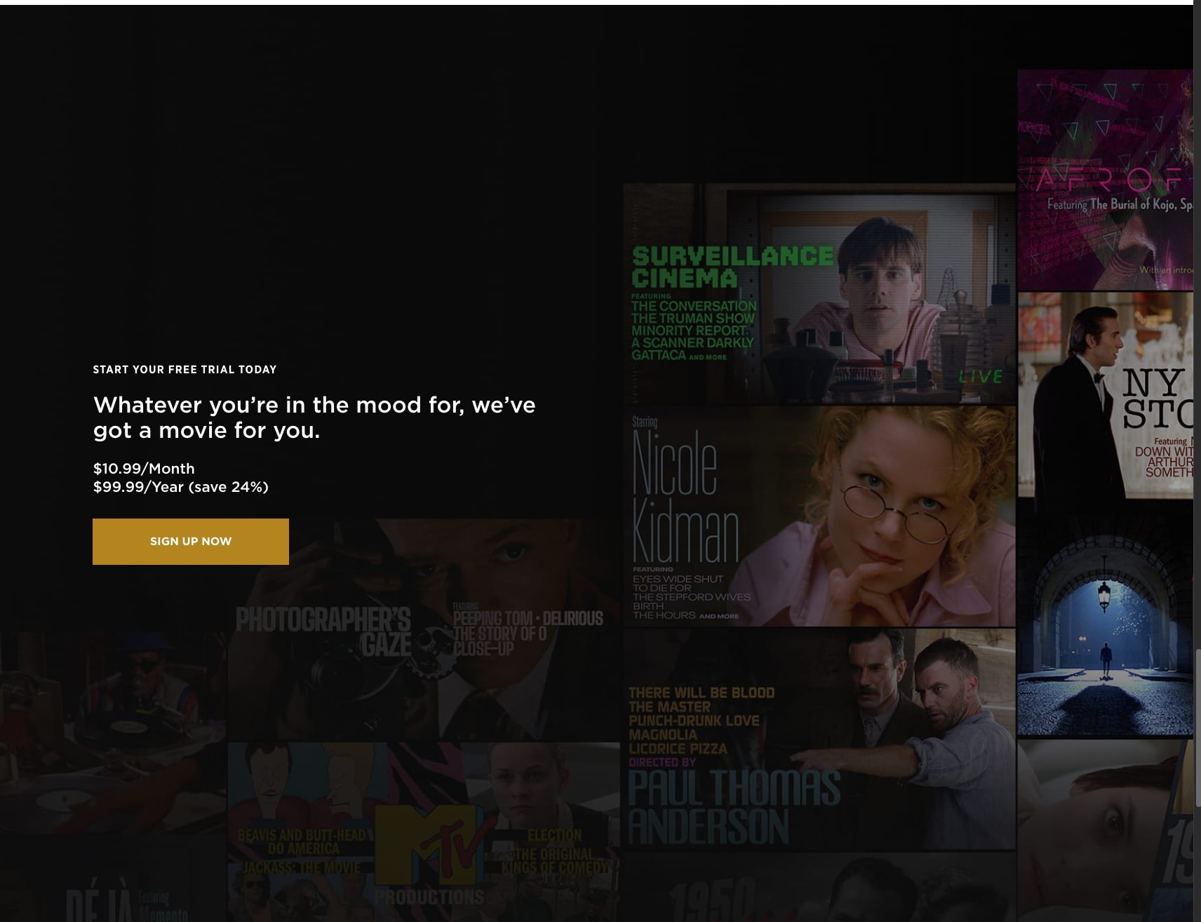 Criterion Channel: Stream the world's best movies captured website design
