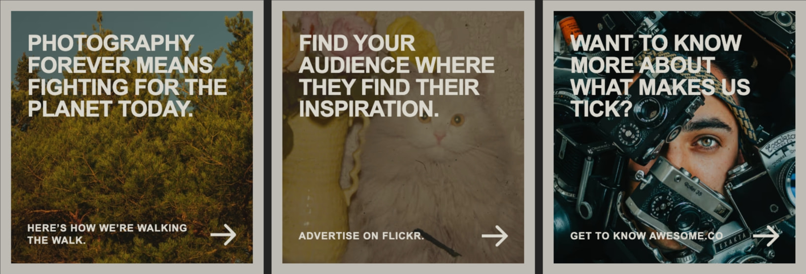 About Flickr | We’re the real deal. captured website design
