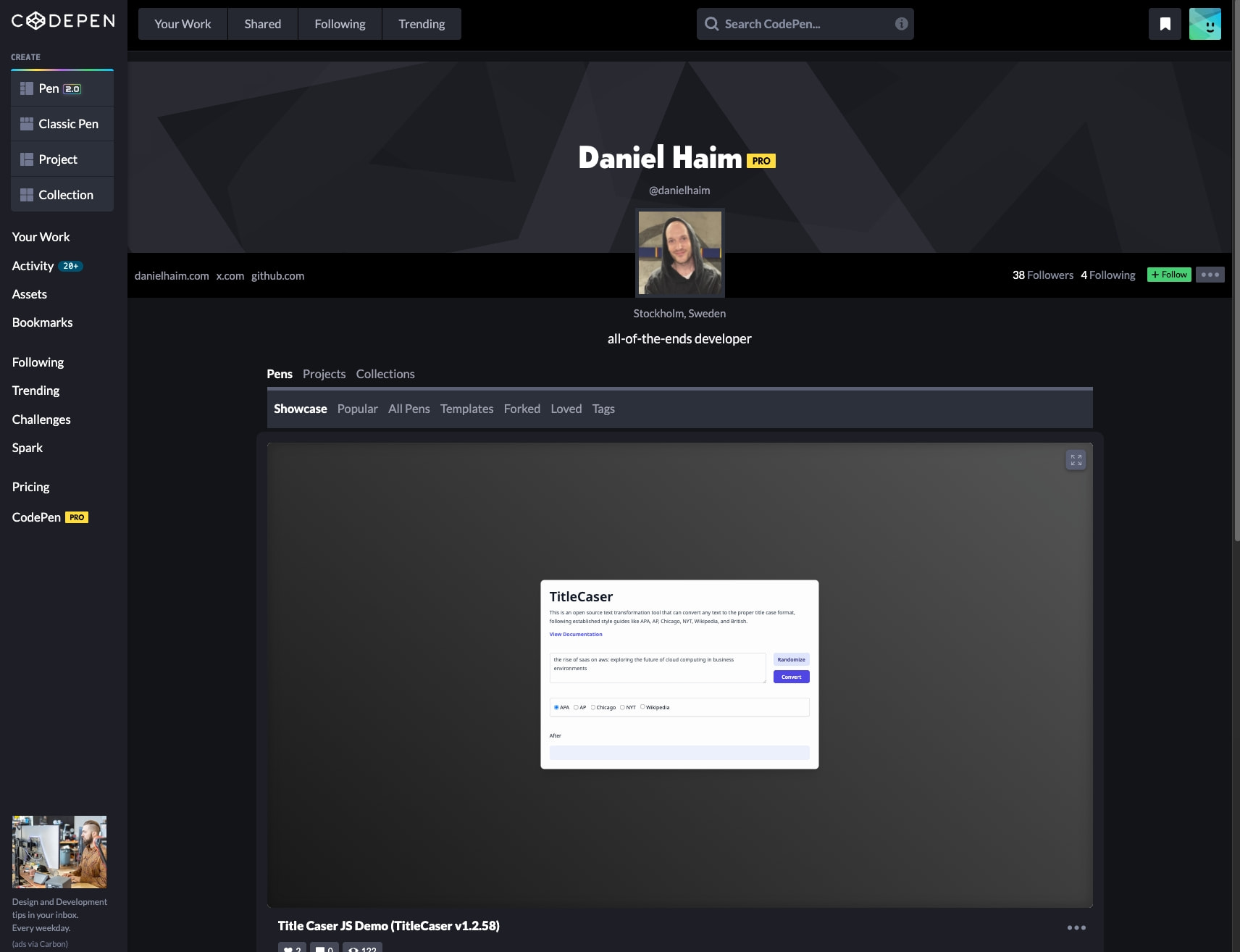 Daniel Haim on CodePen captured website design