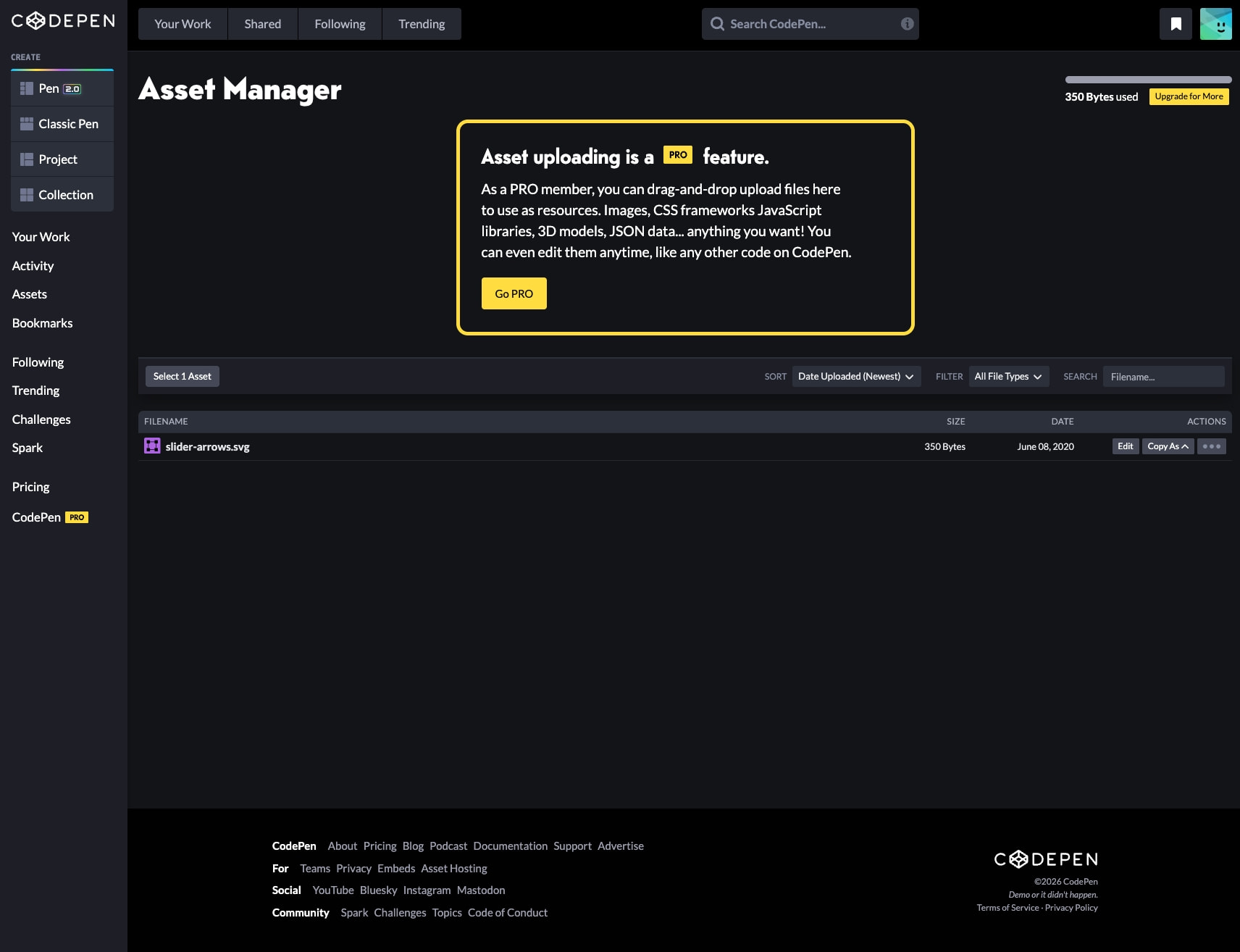 Asset Manager - CodePen captured website design
