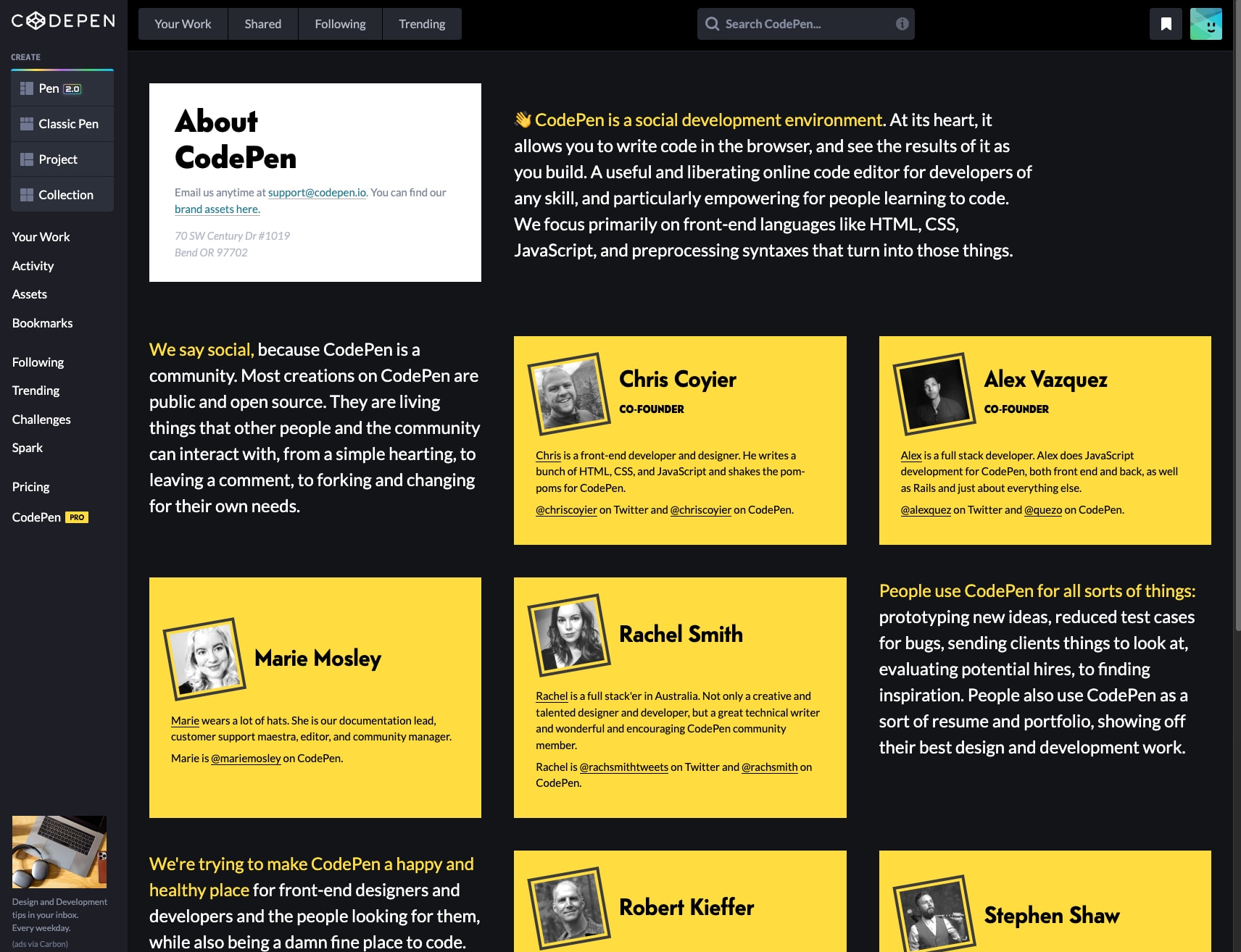 About CodePen captured website design