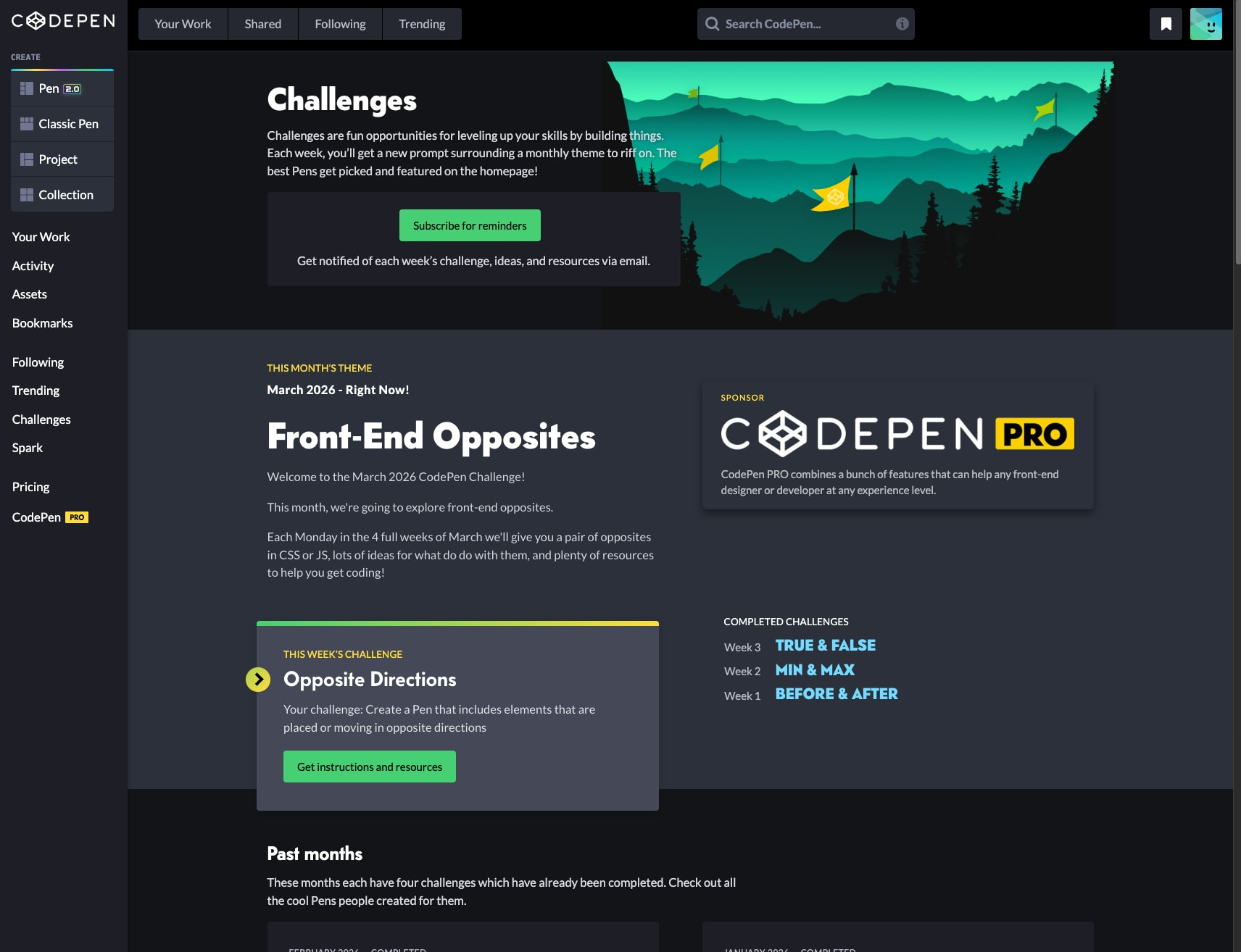 CodePen Challenges captured website design