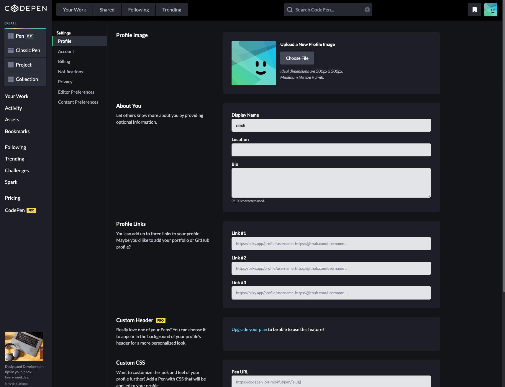 Settings - CodePen captured website design