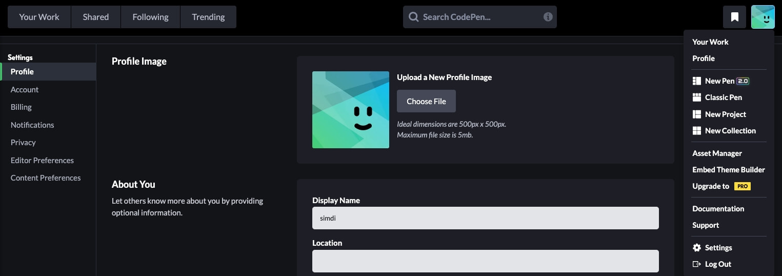 Settings - CodePen captured website design
