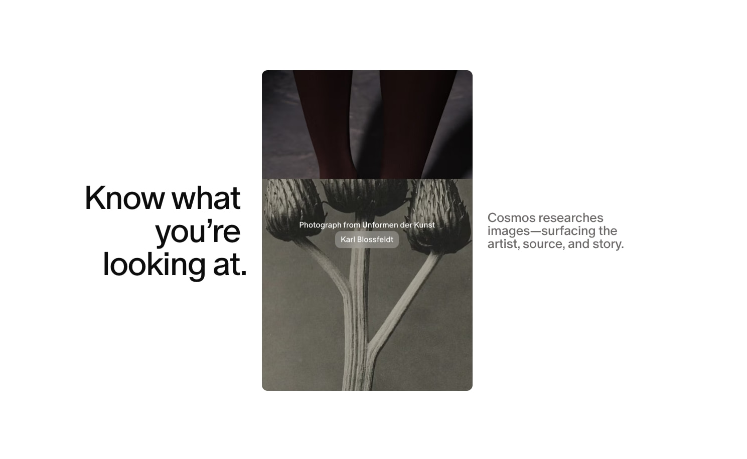 Cosmos captured website design