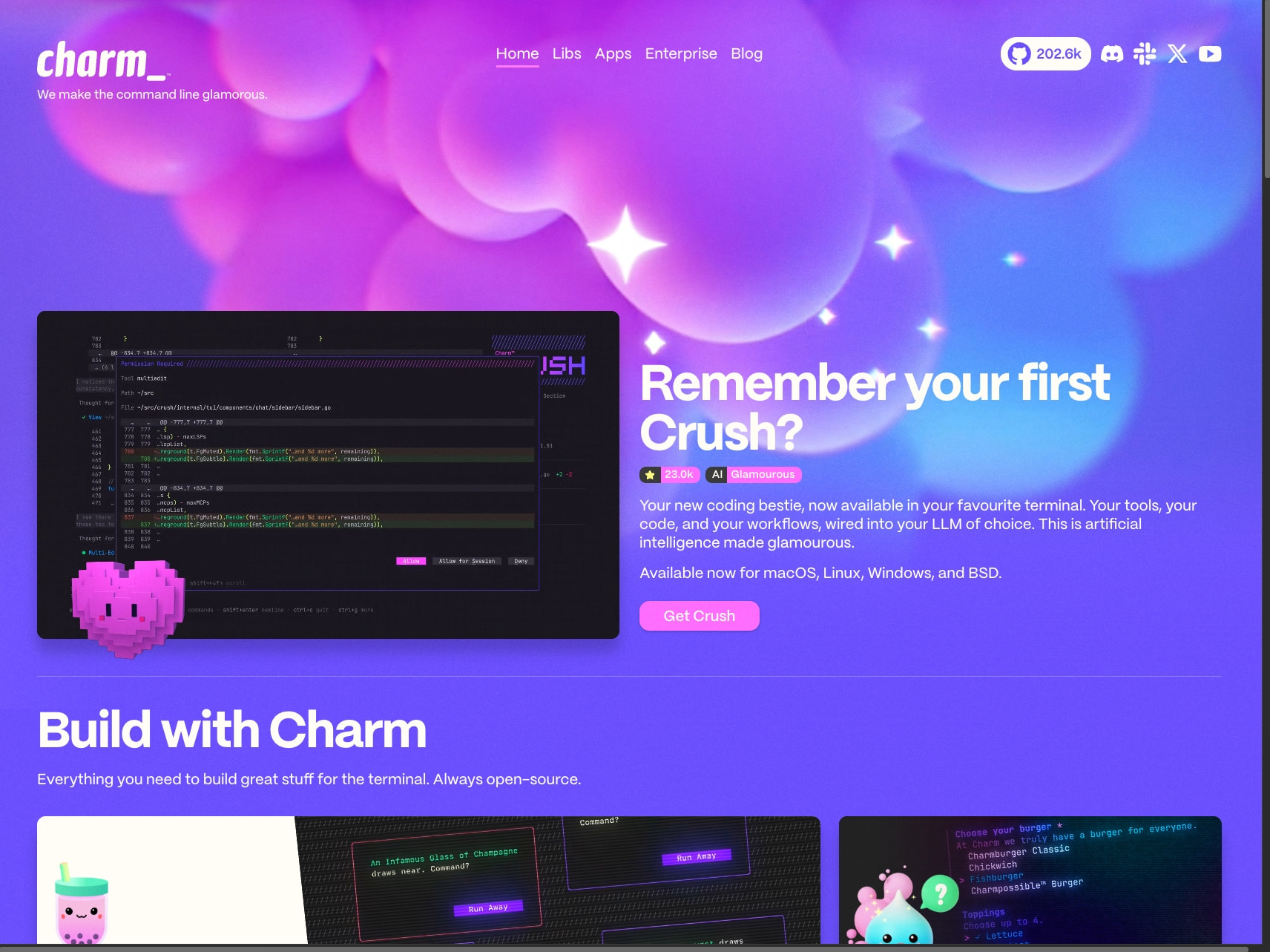 Charm captured website design