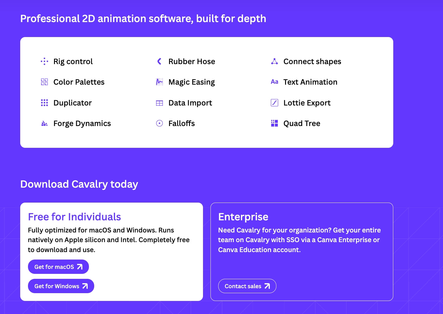 Free 2D animation & motion graphics software for Mac and Windows | Cavalry captured website design