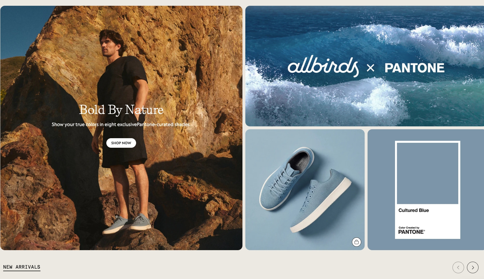 Allbirds: Comfortable, Sustainable Shoes & Apparel captured website design