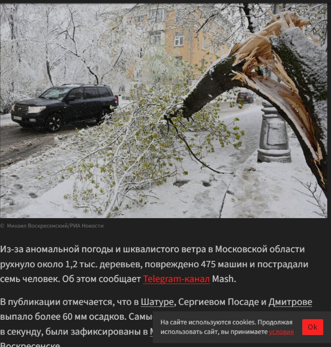Стало известно о последствиях непогоды в Московской области - Газета.Ru | Новости captured website design