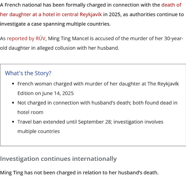 French Woman Charged in Reykjavík Hotel Death Case captured website design