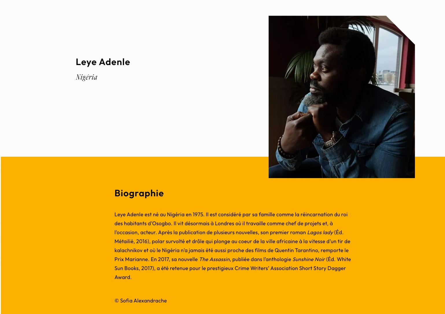Leye Adenle - Atlantide captured website design
