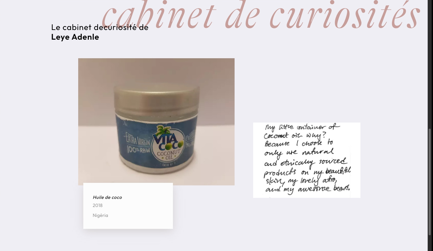 Leye Adenle - Atlantide captured website design