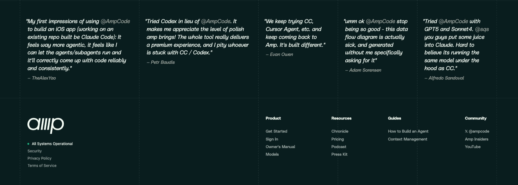 Amp captured website design