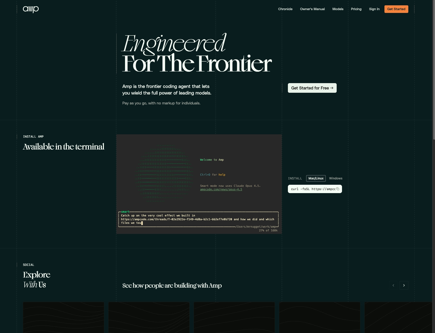 Amp captured website design